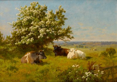 Cows in a Meadow, 1899 by Charles Collins